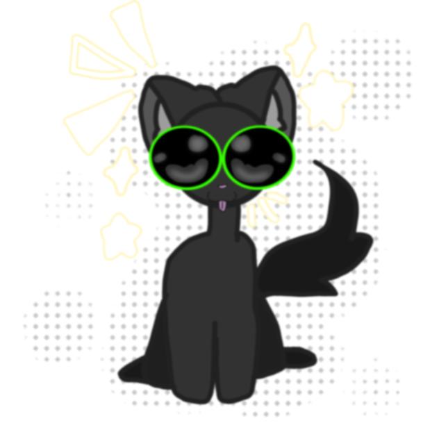 kitty cat