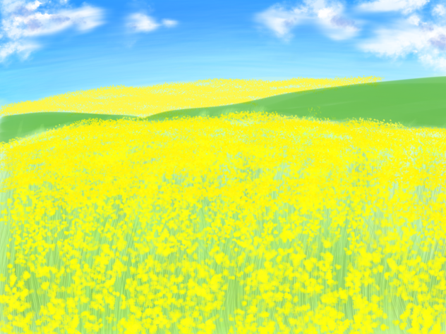 菜の花畑
