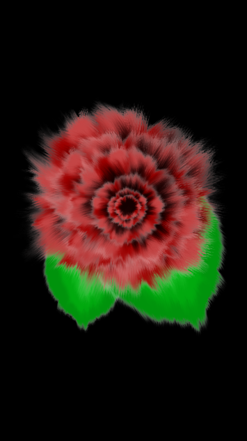上から見た花