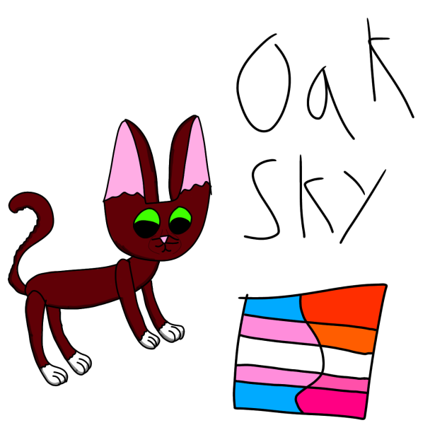 Rise of the cats l Oak Sky