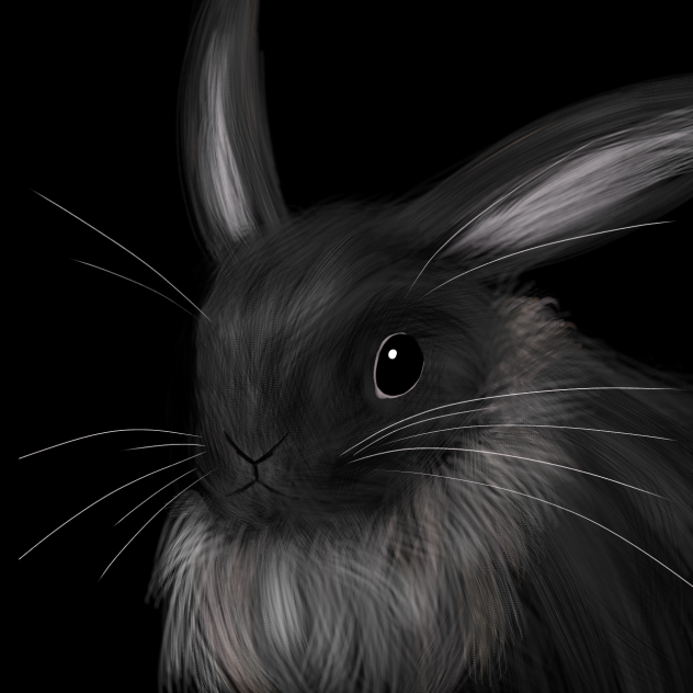 intento de conejo xd