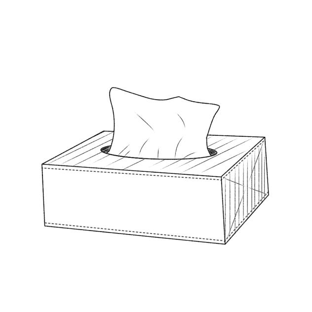 Tissue box2