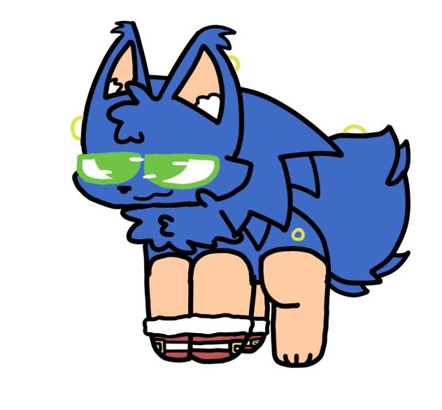 Sonic the foxhog