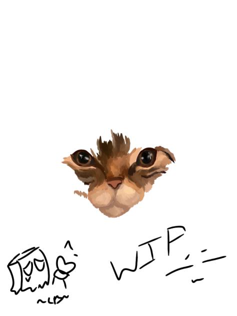 Cat WIP