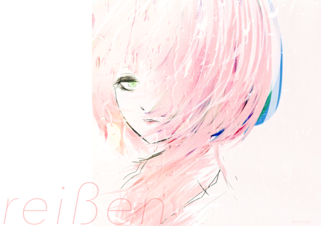 泪