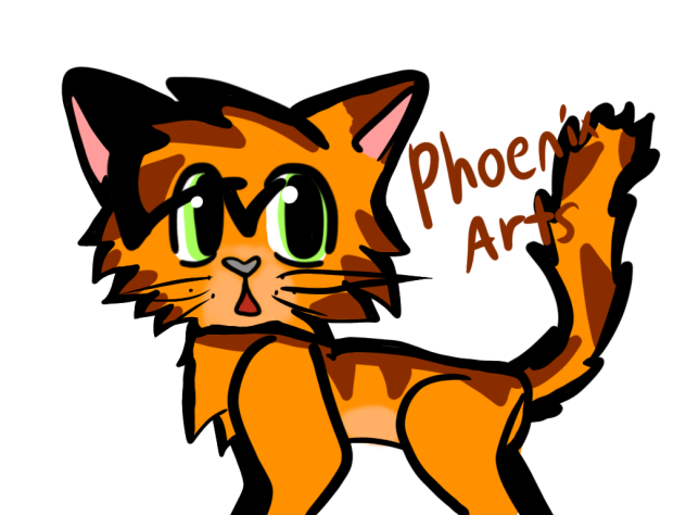 ginger cat