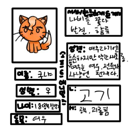 소프트 애니멀즈 캐신 제출