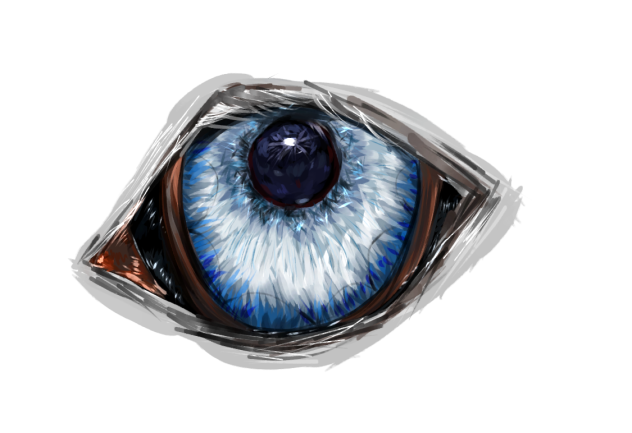 Eye