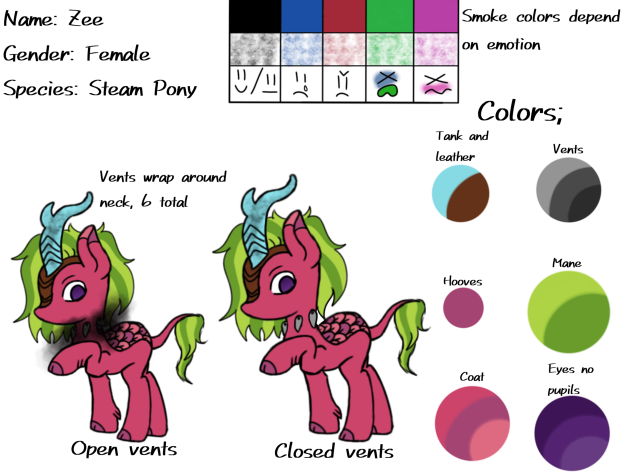 Zoe ref sheet steam pony