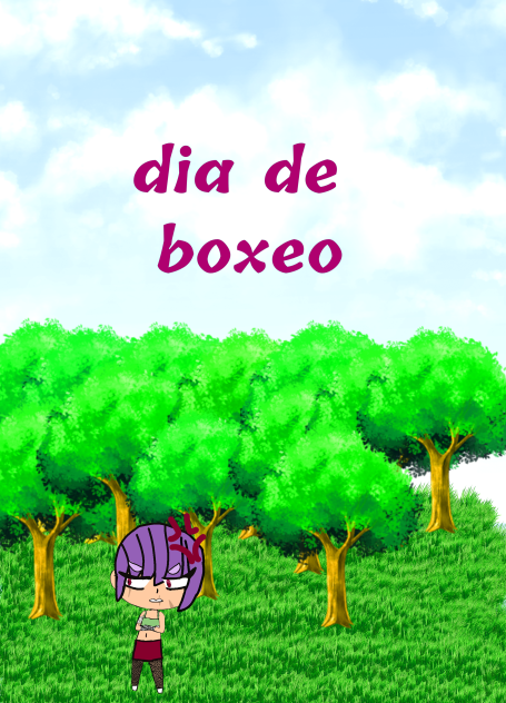 dia de boxeo