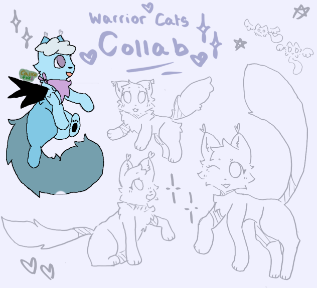 Cat colleb