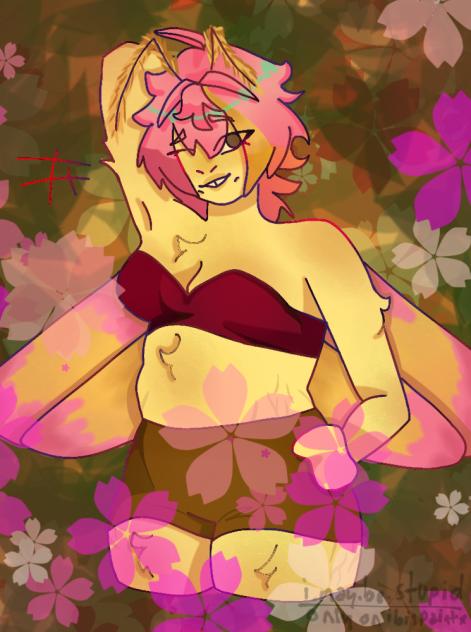 rosy the maple moth
