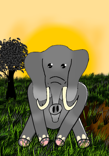 Elephant