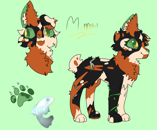 Minnow' Stream ref sheets!