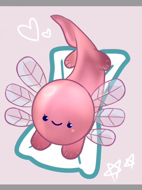Axolotl