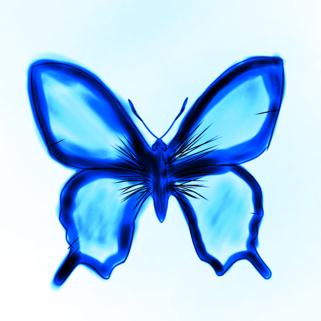 butterfly ig-