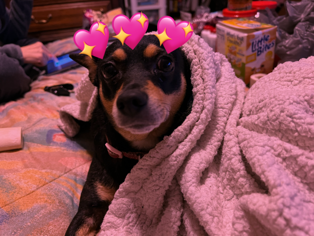 uwu