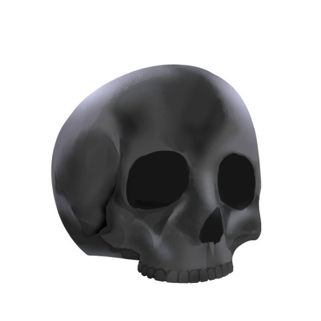 Skulls