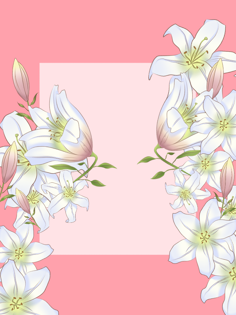White Lily - ibisPaint