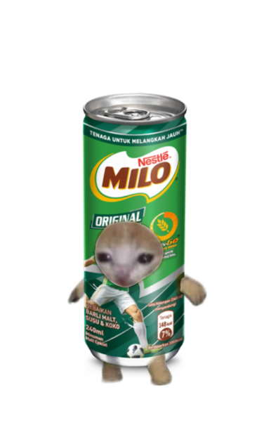 MILO CAT
