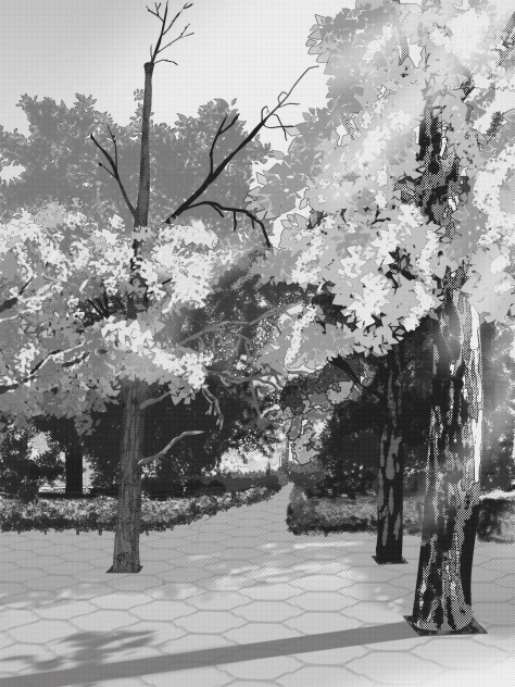 公園入口の木々