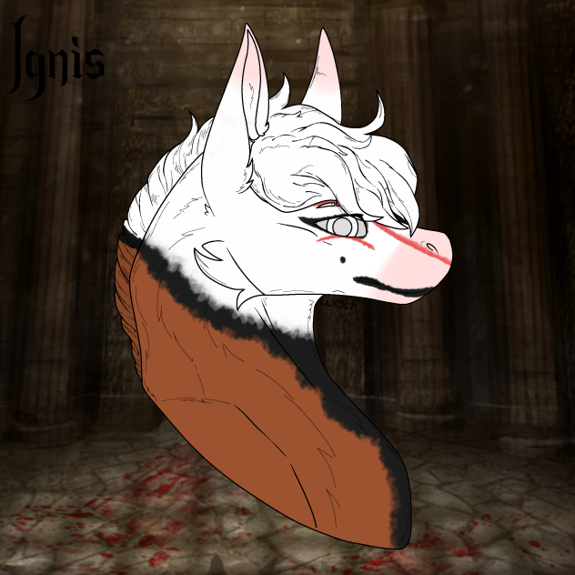 - Ignis Headshot -