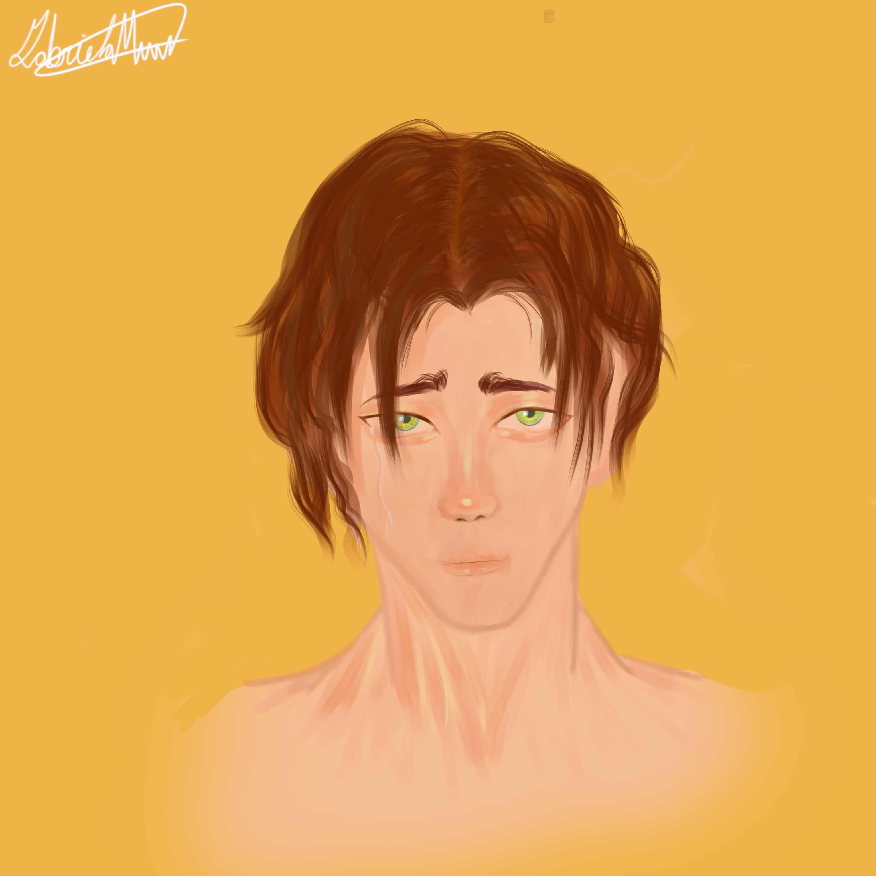 70 sin título - ibisPaint
