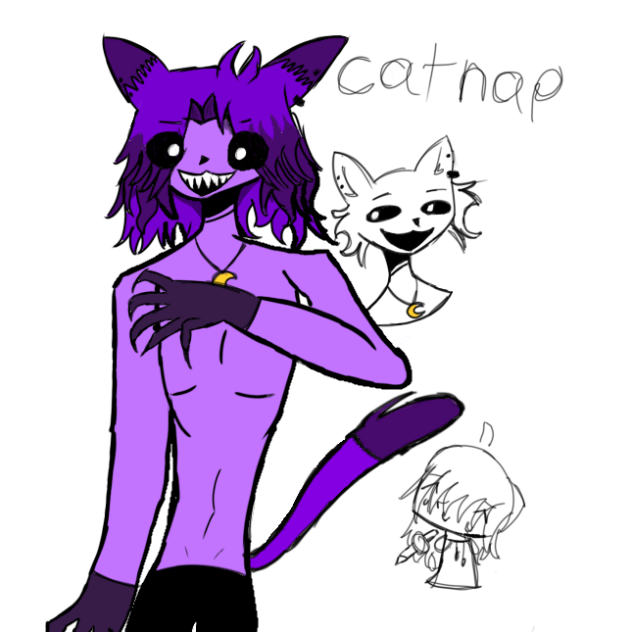 Cat nap human version