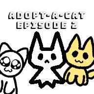 adopt a cat!!