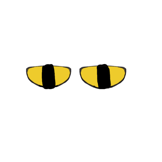 eye trend (not my idea)