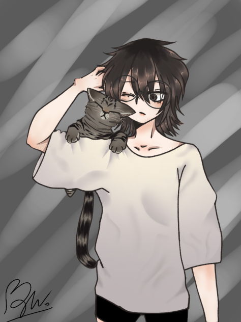 My cat