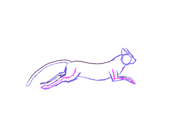 Cat test 1