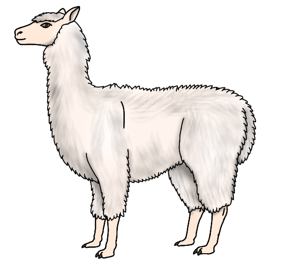 Llama render