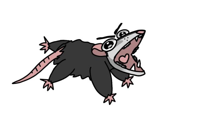 Opossum