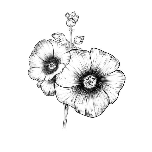 Hollyhocks Stamp 🌸