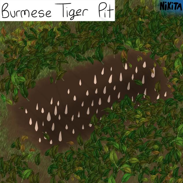 Burmese Tiger Pit