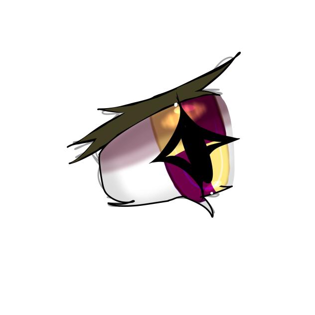 Eye