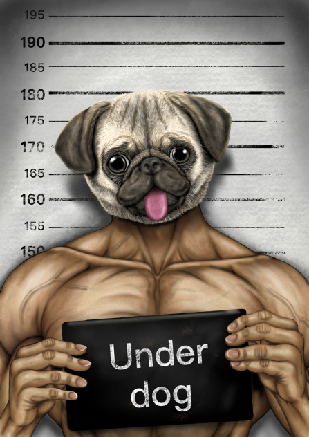 負け犬　（under dog）