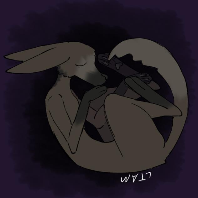 Comfort