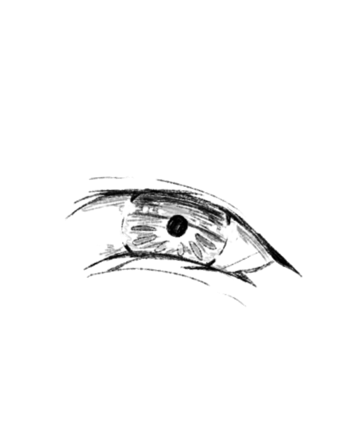 Untitled669