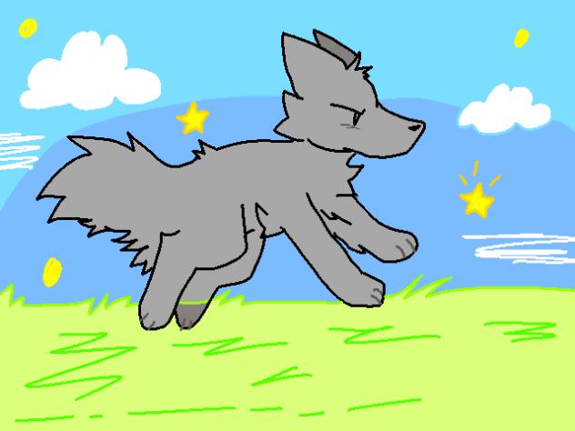 ⭐️Wolf running attempt🐺