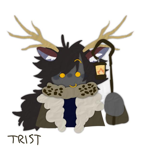 my oc trist (elder self)