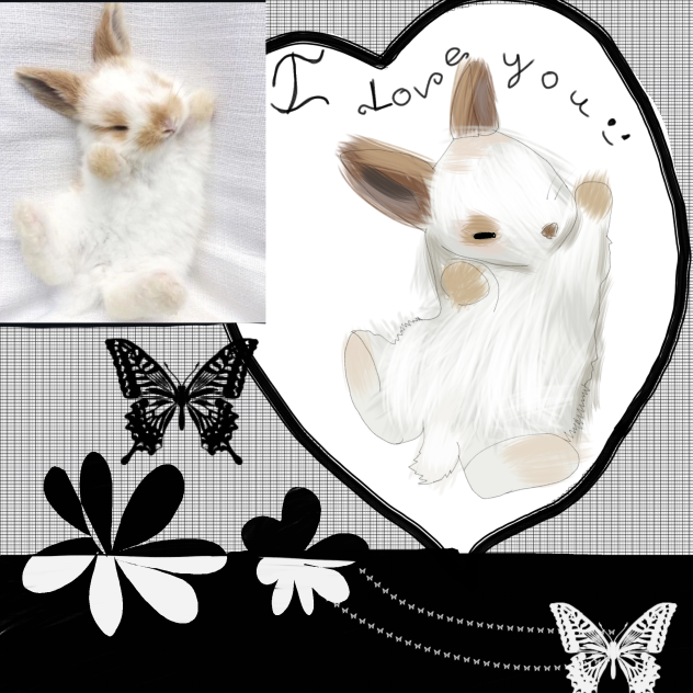 rabbit 🐇🥰