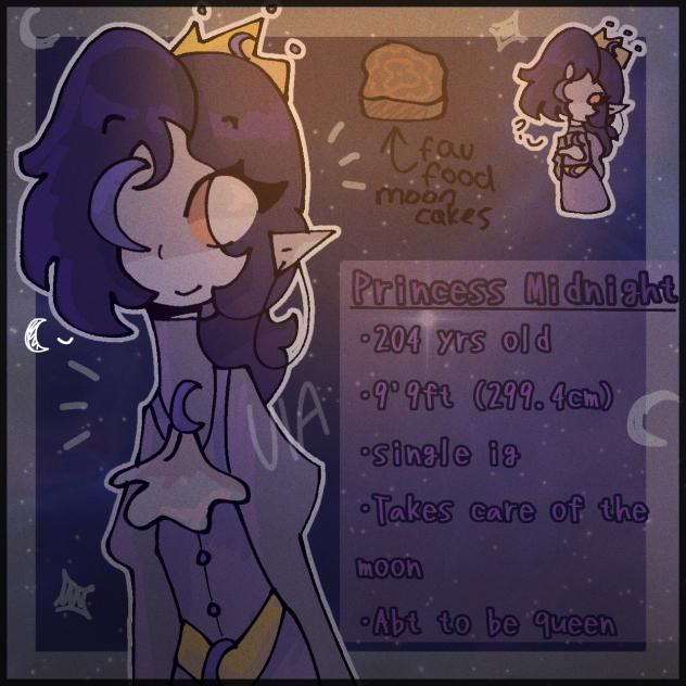🌙 Princess Midnight 🌙