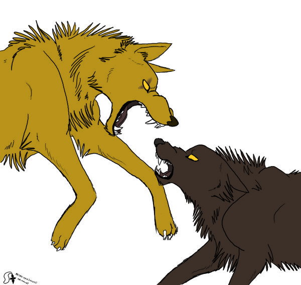 Arkaner vs Heldon