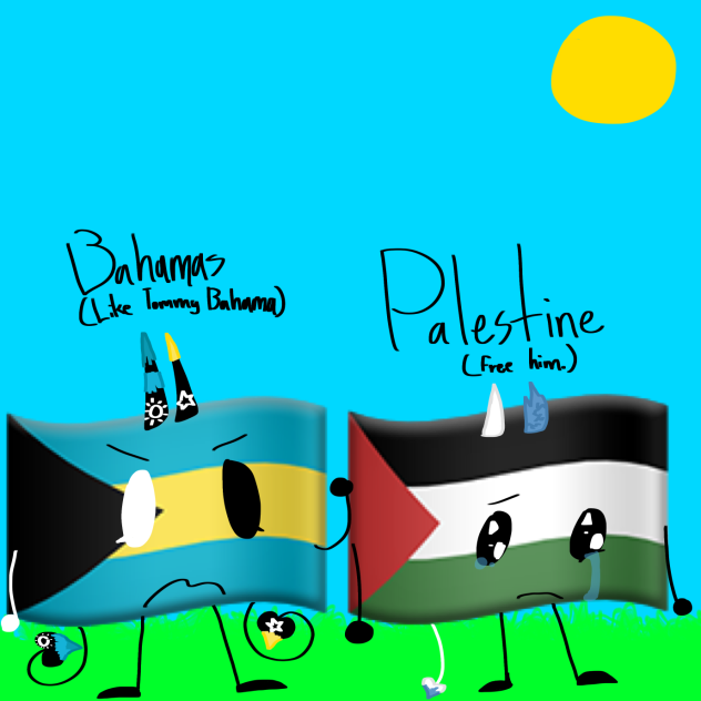 the flag twins. (almost, well, kinda)