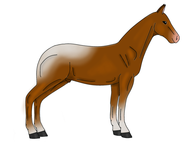 Horse bass body