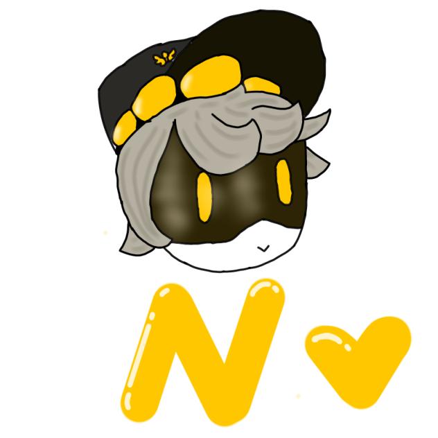 N XD