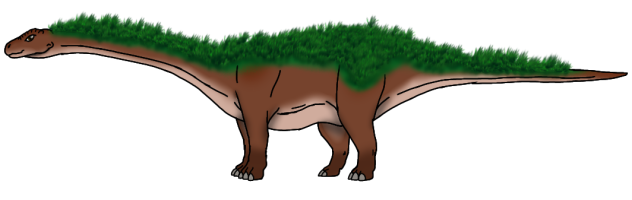 Tropical Diploterro female render