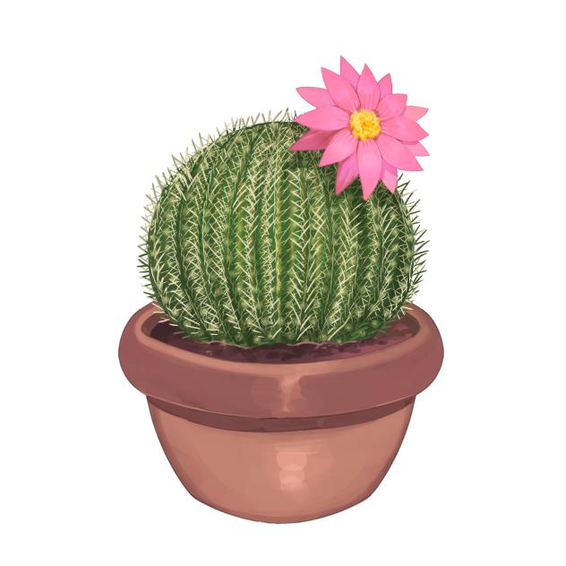 花の咲いたサボテン